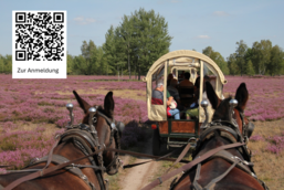 Foto: Naturwacht Brandenburg, Lizenz: Stiftung Naturschutzfonds